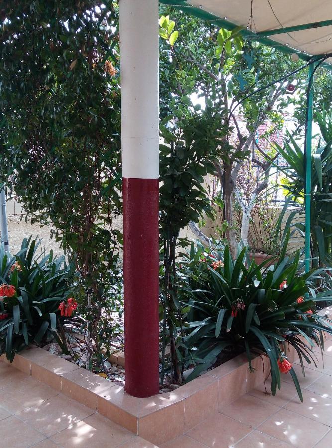 Villa Lefteris Ageliki Beautiful Aegina Exterior foto