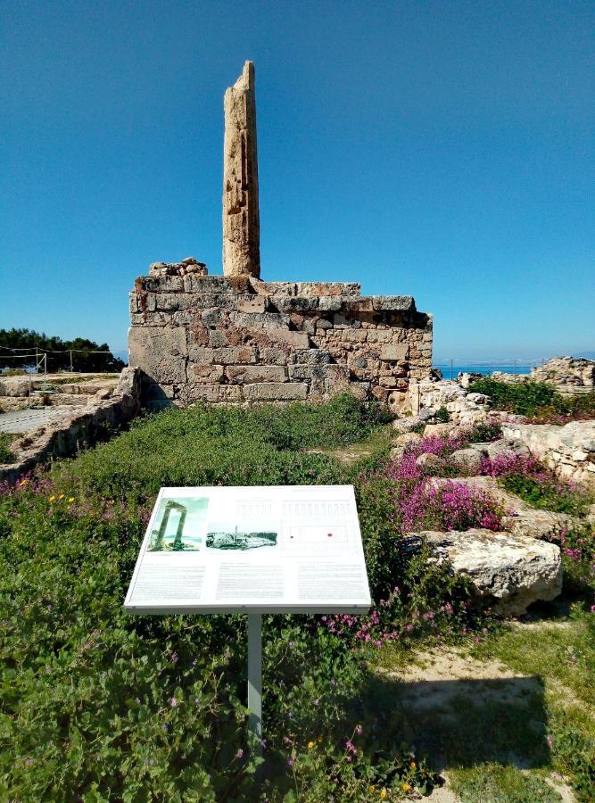 Villa Lefteris Ageliki Beautiful Aegina Exterior foto