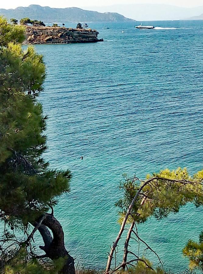 Villa Lefteris Ageliki Beautiful Aegina Exterior foto